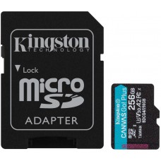 Kingston 256GB Canvas Go! Plus microSD Memory Card|SDCG4