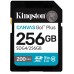 Kingston Canvas Go! Plus SD Memory Card|SDG4/256GB