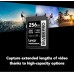 Lexar® Professional SILVER PRO 256GB UHS-II U3 V60  SDXC™ Card