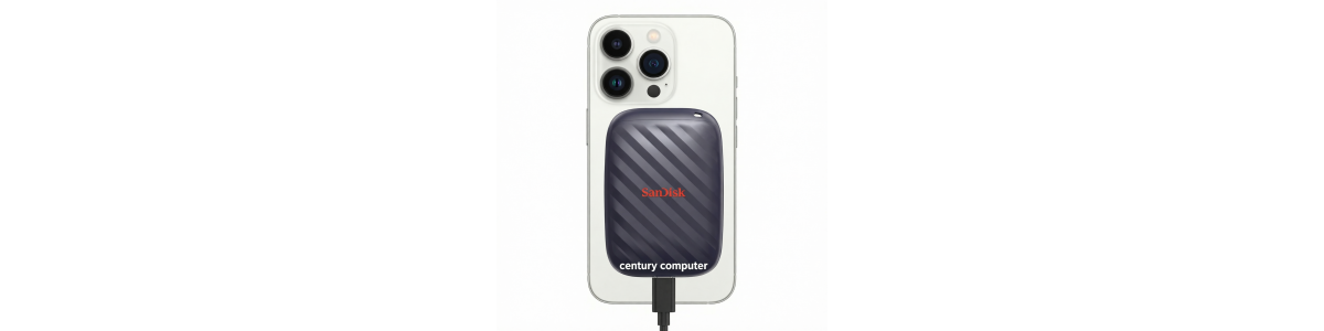 Sandisk E10